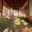 Biophilic Design: Bringing the Healing Power of Nature Indoors